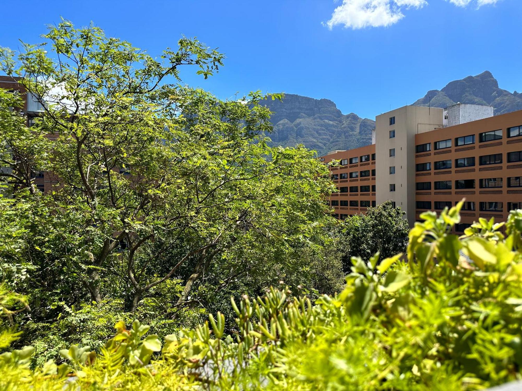 Newlands Peak Apartments Kaapstad Buitenkant foto